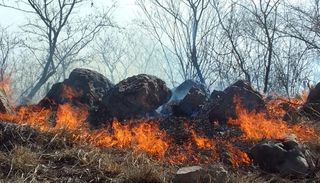 En tan solo un mes en Salta se quemaron ocho mil hectáreas